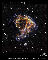 Supernova Remnant LMCN 49